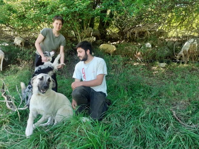 La vie à la ferme d’Alpuy: une organisation au quotidien