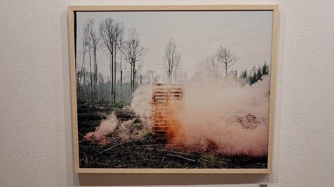 Nouvelle exposition "Le Chant du Cygne" à l'Entresort, au théâtre La Passerelle