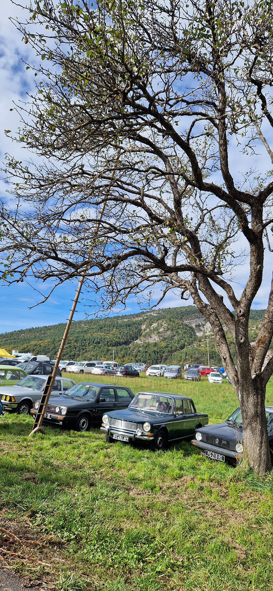 La fête de la poire Sarteau blanche à Draix a attiré beaucoup de monde !