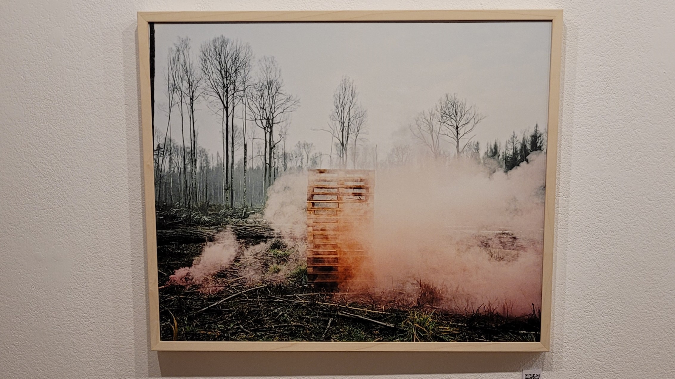 Nouvelle exposition "Le Chant du Cygne" à l'Entresort, au théâtre La Passerelle