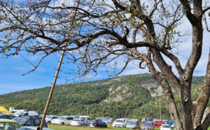 La fête de la poire Sarteau blanche à Draix a attiré beaucoup de monde !