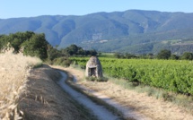 Le Parc du Luberon revoit sa charte pour 2024-2039