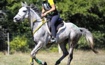 Isée et les chevaux endurants