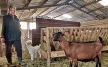 destination Haute-Provence : La ferme de la Pierrine à Valensole