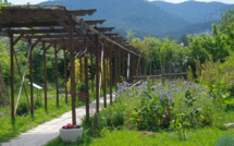 Croq'jardin: un jardin partagé unique en région PACA