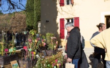 Fruits et saveurs d'autrefois ont leur journée à Manosque