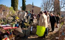 Un pépiniériste de variétés traditionnelles et locales