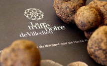 Destination haute-provence : la truffe noire de Villedieu