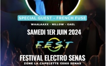 F.E.S.T Le 1er festival électro à Sénas