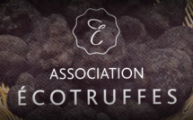 Ecotruffes: une association qui a du nez